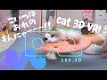 【VR 180° 3D】猫ちゃんのごはんの時間VR ！Cute cat food time VR!