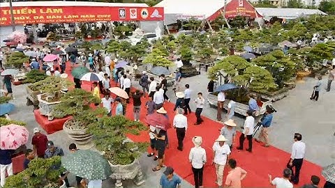 VD : TOÀN CẢNH KHAI MẠC TRIỂN LÃM SVC BẮC NINH 2022