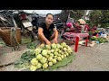 Harvest Kohlrabi go market sell | Primitive Skills