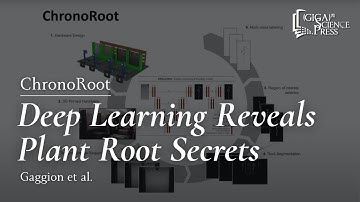 ChronoRoot: revealing the secrets of plant root systems using phenotyping and deep learning