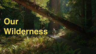 The Wilderness Letter