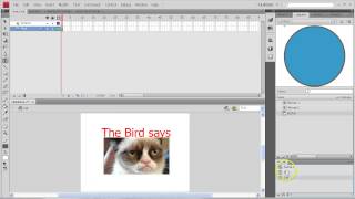 Flash Interactivity - What does the Fox Say?
