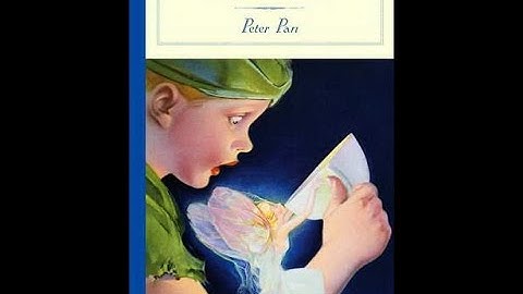 Chapter 12 - The Children are Carried Off - Peter Pan