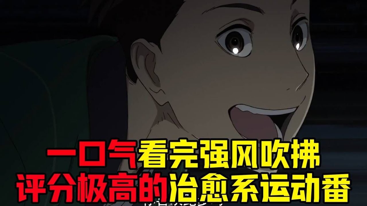 65分钟一口气看完《强风吹拂》，史上评分最高的运动番之一，跑步也能如此激情