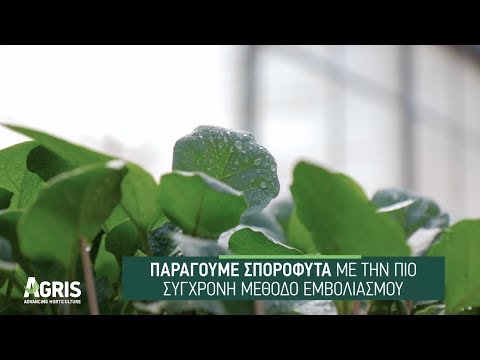 Παραγωγή σποροφύτων με