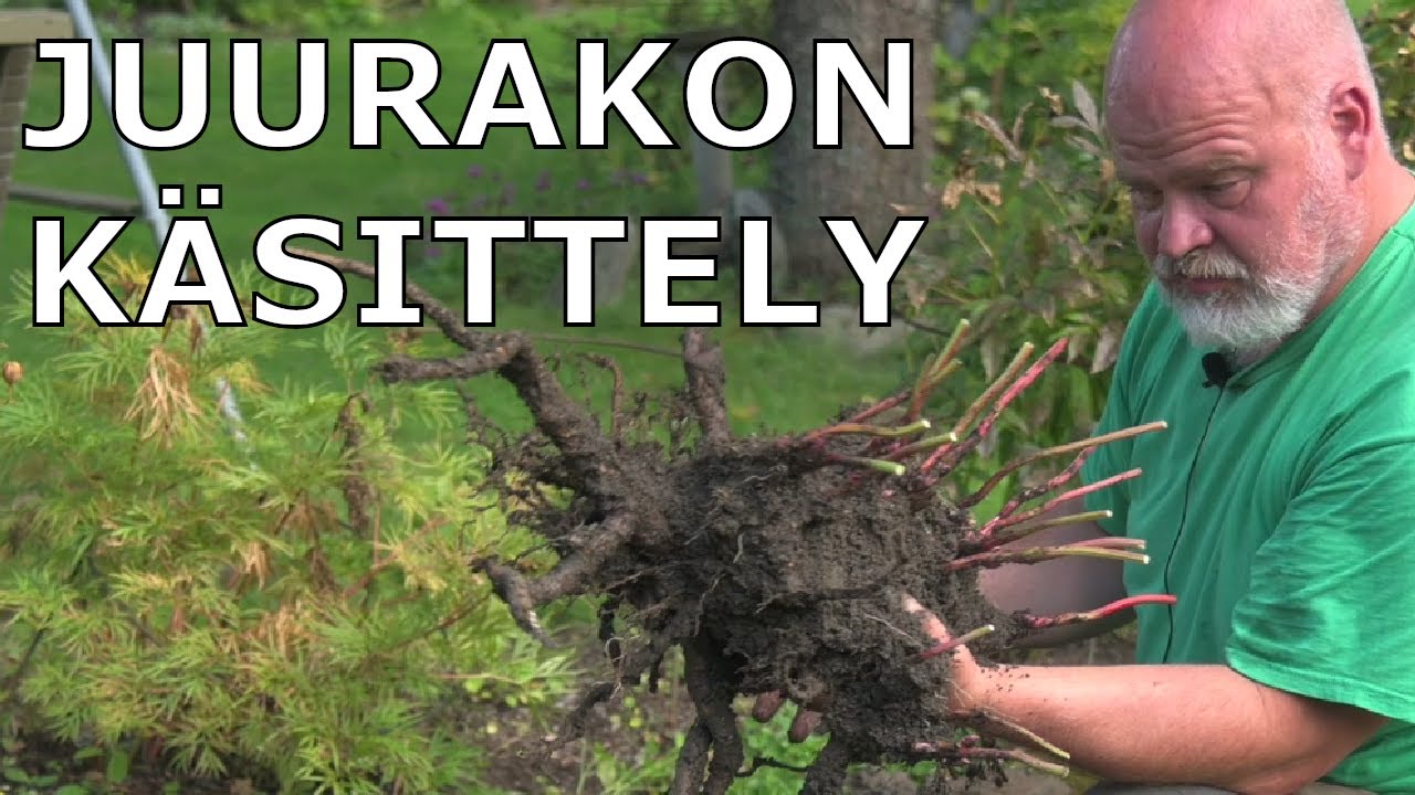 Pionin siirto ja jakaminen - Neljä työvaihetta