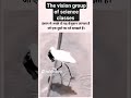 Drishti Science Classes #short#video#animal#birds