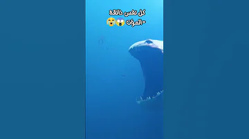 كل نفس ذائقة الموت عبدالرحمن مسعد طمأنينة اكسبلور 