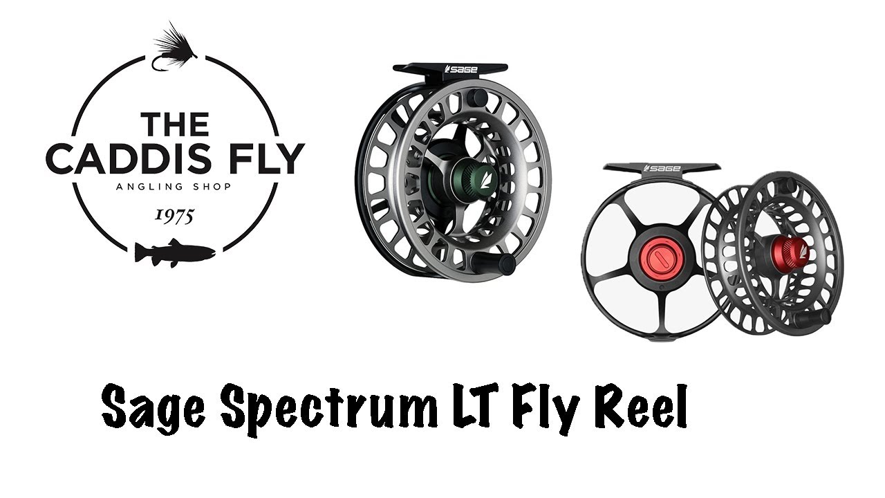 Introducing the Sage Spectrum LT Reel with George Cook - YouTube