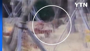 [뉴스라이더] 