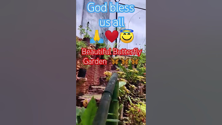 God bless Beautiful Butterfly Garden #god #butterfly #music #piano #relaxing #butterflylovers #love