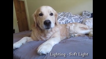 SNHU COM 128 - Visual Elements, Image Composition, and Lighting