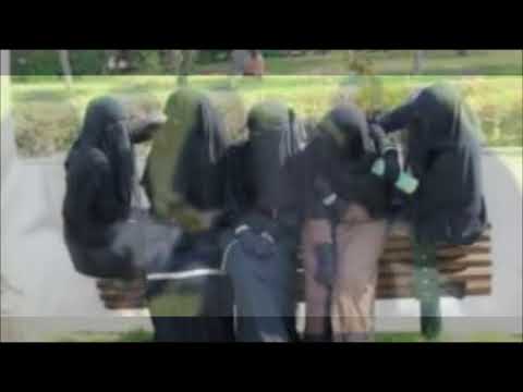 يا باحثا عن خير صحب في الحياة