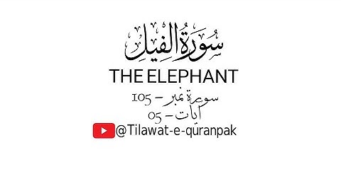 Surah Al-Fil | The Elephant - 105 | Qari Bilal As Shaikh | سورة الفيل | #quran #surahalfil #trend