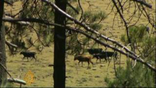 Celebrity Mexico faces water crisis as demand spirals - 30 Nov 2008 Profile