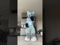 How i feel not posting alot on this channel #azzaionpaws #furry