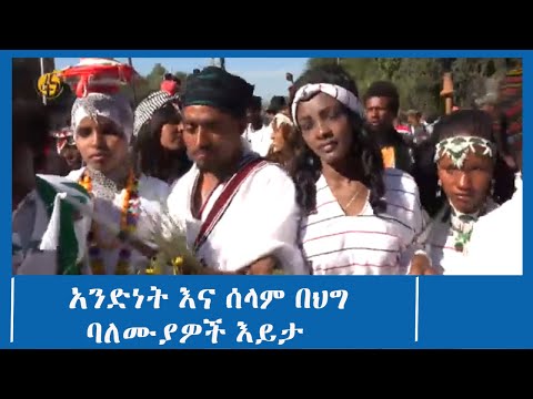 አንድነት እና ሰላም በህግ ባለሙያዎች እይታ