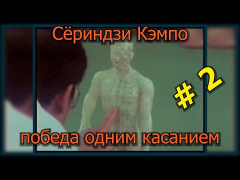 Приемы воинов, приемы врача. Смертельные, болевые точки воздействия. Сёриндзи Кэмпо ч.2.