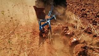 Tütün Tarlası Sürümü