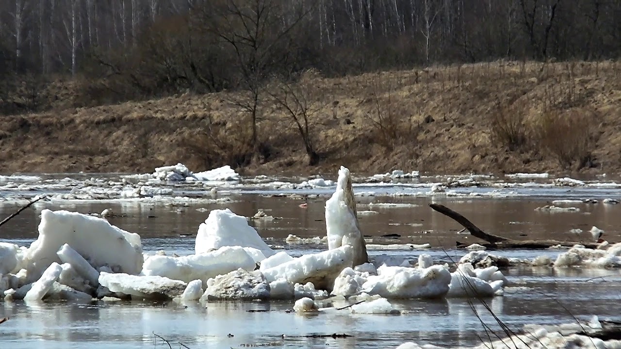 Ока пласт лесной