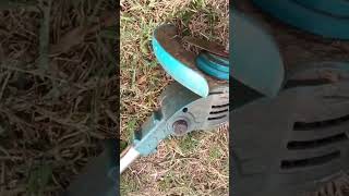 Grass cutter machine#cutting#grass#shorts