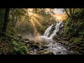 Gentle River Flow Instrumental 🌿 Soft Relaxing Nature Music for Focus, Calm &amp; Stress Relief