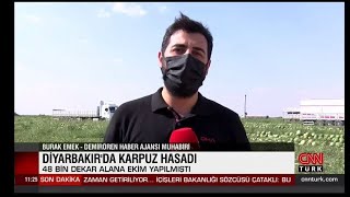 Diyarbakırda Karpuz Hasadı Cnn Türk Burak Emek Dha