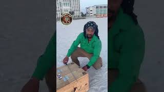 Snake on St. Pete Beach #tampabay #pinellascounty #pinellaspodcast #florida #podcast #tampa