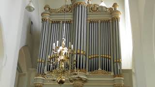 Improvisatie Psalm 43 Bätz-Witte Orgel Te Tiel Adriaan Pakvis