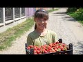 5 Tone de căpșuni au ajuns în casele celor nevoiași!