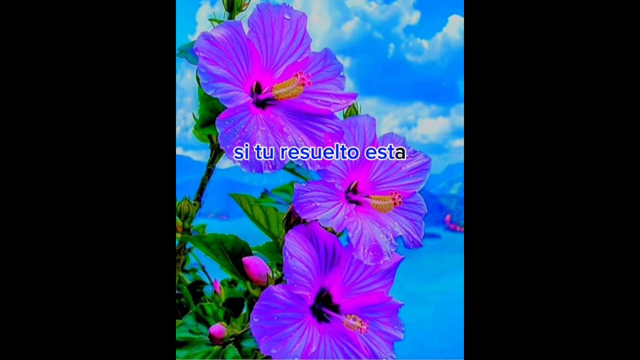 Por cuál camino vas, Dueto David, karaoke 