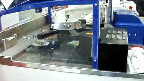 Singulus Duo DVD 5 Processing Area Handling Arm