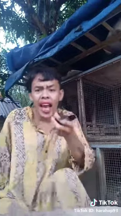 Lebe bae kita piara ayam