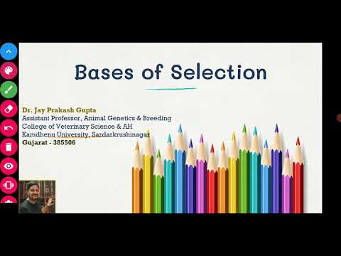 Video: What Is The Basis Of Selection