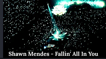 Shawn Mendes - Fallin' All In You (LIVE AT THE 02)