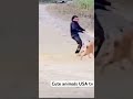 IF This 😱is the Punishment I’m not gonna drop it 😂#catlover#punishment#reaction#trendingshorts