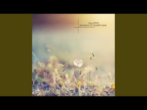 Calippo — Hear What (Original Mix)