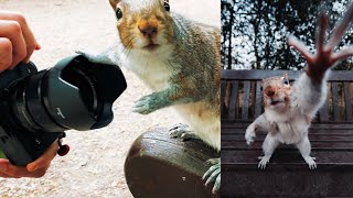 London Squirrel Photography // Fujifilm XT4   16mm f1.4
