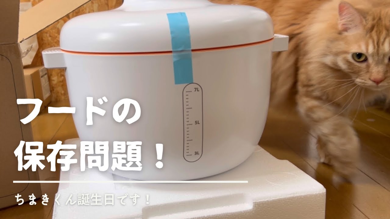 【フードの酸化対策】真空保存容器を買ってみました！