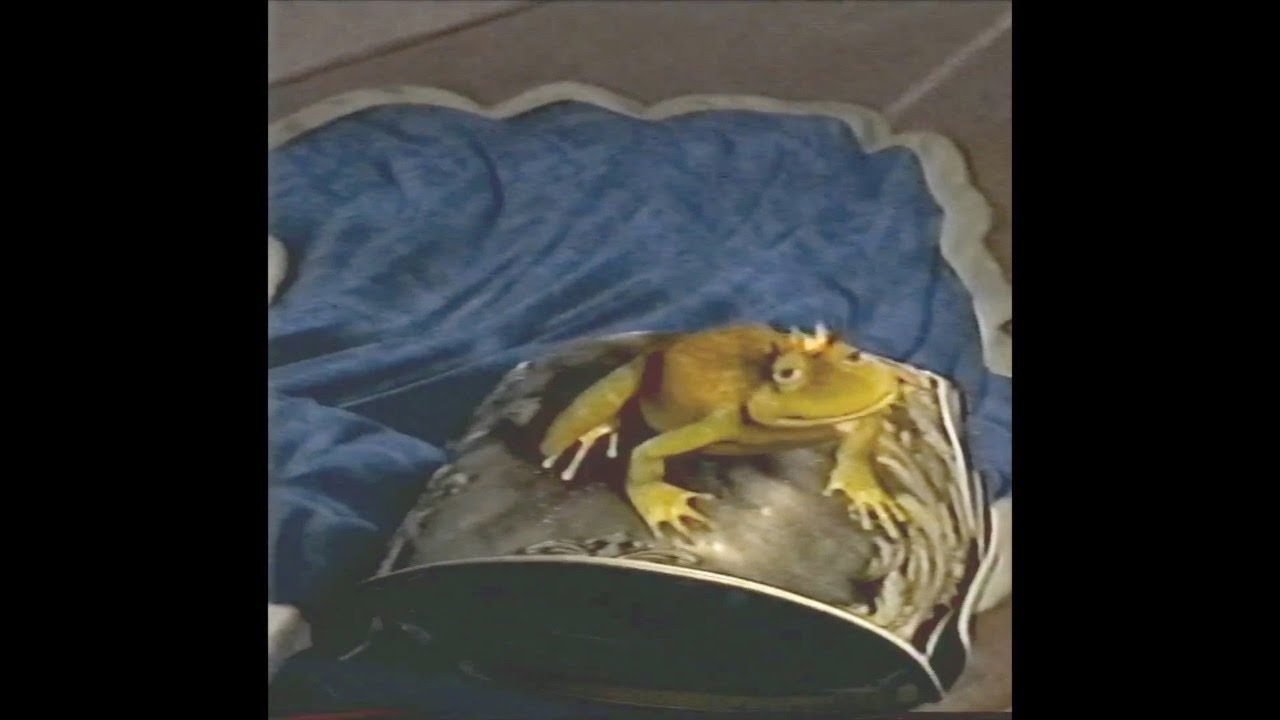 Shrek 2 Frog King (2004) (VHS Capture) (1) YouTube