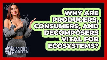 Why Are Producers, Consumers, And Decomposers Vital For Ecosystems? - Science Through Time
