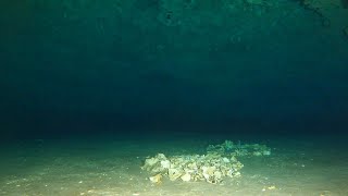 Ginnie Springs: Bone Line - Whites Room - Bone Room - Main Line - Mud Tunnels - Roller Coaster