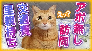 保護猫団体のありえない条件