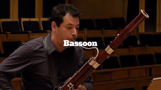 Woodwinds - Flute, Clarinet, Oboe, Bassoon screenshot 5