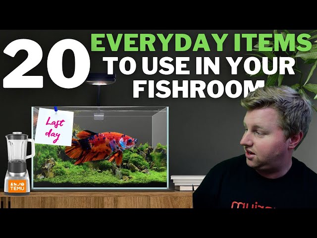 20 Everyday Products You Can Use In Your Fishroom 