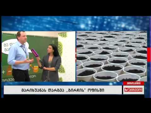 ზურა ჯაფარიძის კომენტარი - 31 12 2016 გირჩში