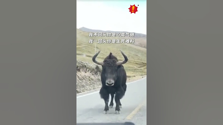 牛牛：你瞅啥