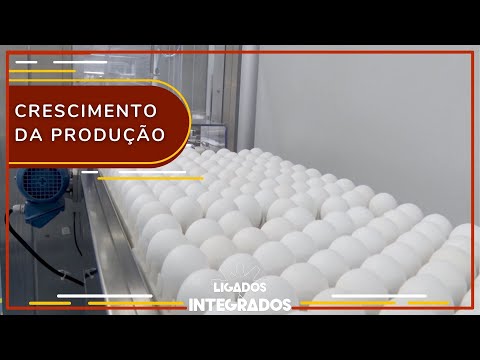 ES foi o 3º maior estado produtor de ovos do Brasil em 2022 | Ligados & Integrados - 12/04/2023