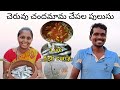        small fish curry recipefishing and cooking
