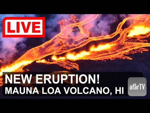 🌎 LIVE: Mauna Loa Volcano, Hawaii